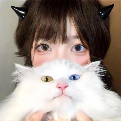 野生动物宝宝 第一季