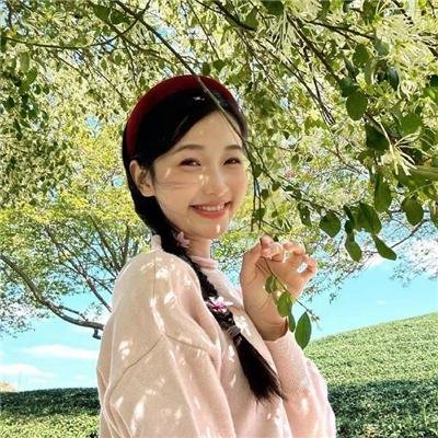 023档案